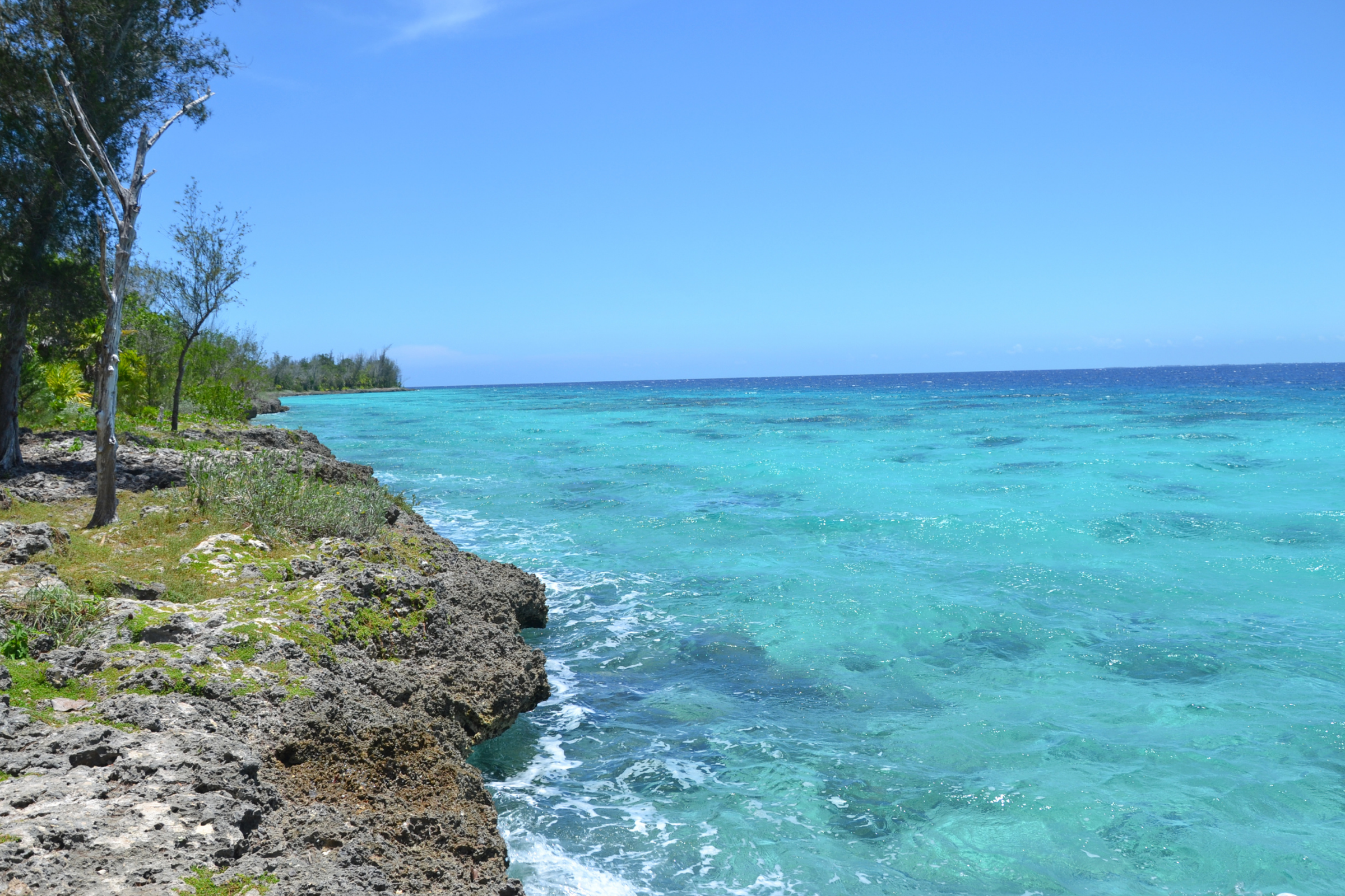 bay of pigs (3).webp